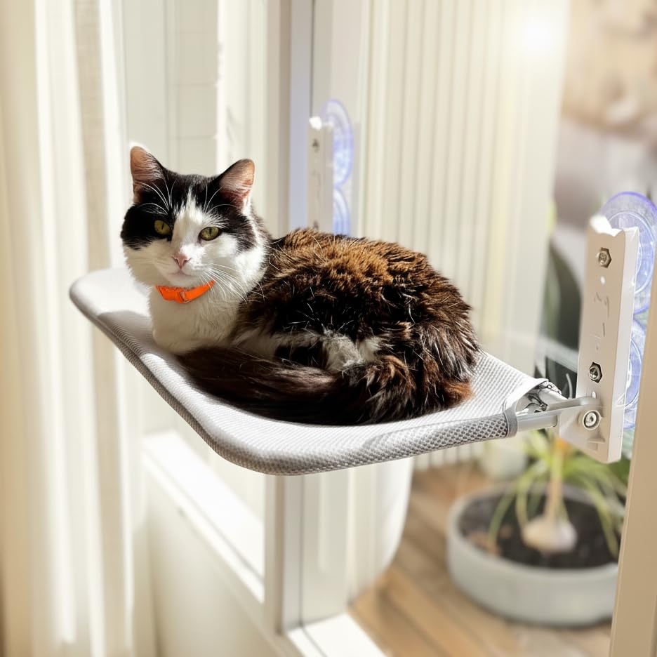 The Window Cat Perch