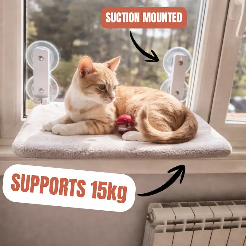 Foldable Cat Hammock