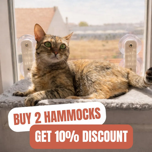 Foldable Cat Hammock